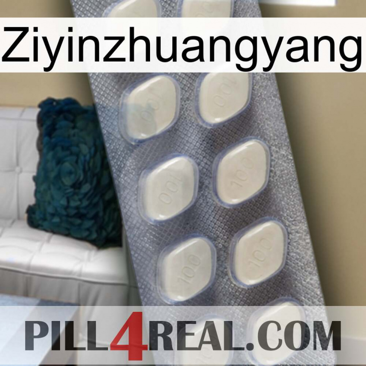 Ziyinzhuangyang 08